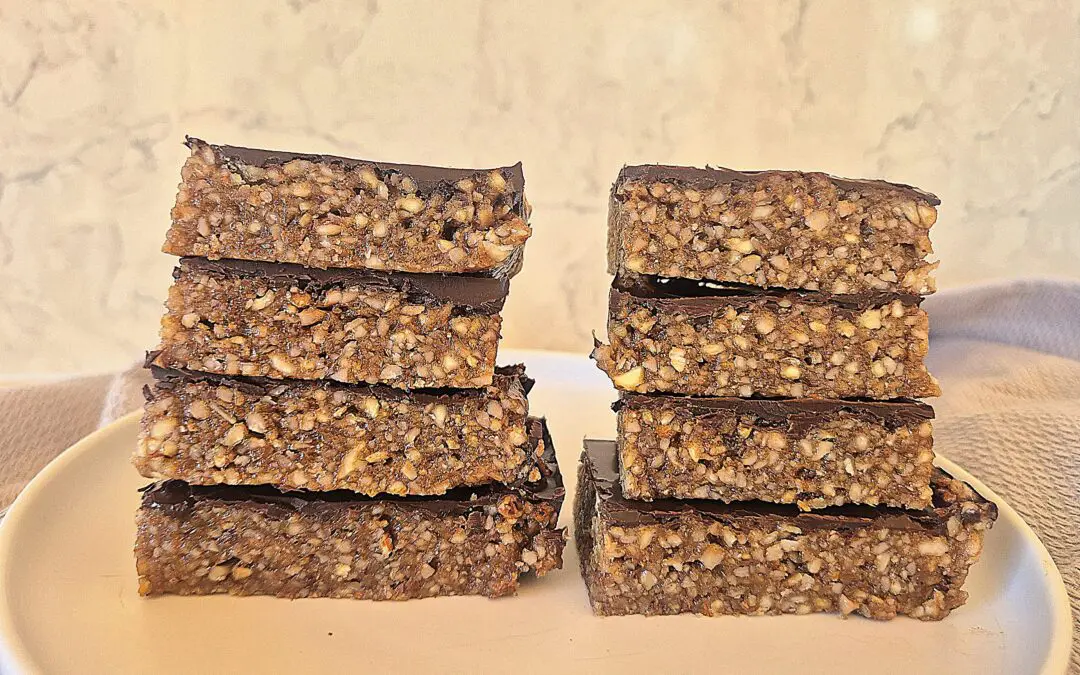 Homemade Paleo Protein Bars