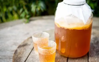 Want To Improve Your Gut Health? Do These 6 Things First
